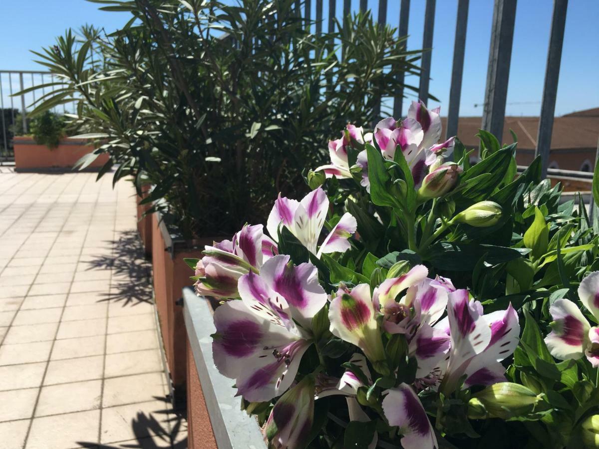 B&B Colombo Πίζα Εξωτερικό φωτογραφία